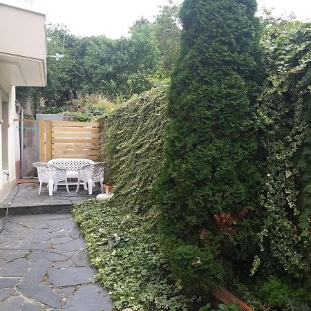 Apartamento Con Pequeno Jardin En El Centro Ferrol Exterior photo